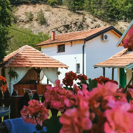 Zicka Plaza Apartment