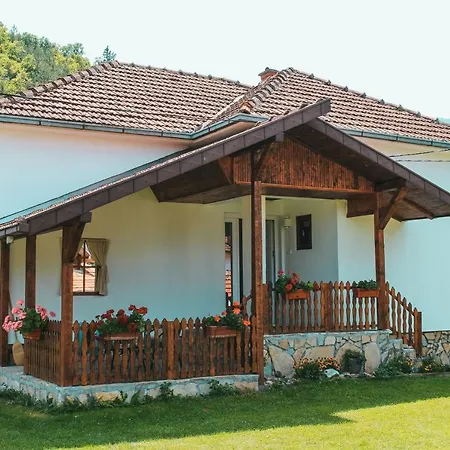 Zicka Plaza *