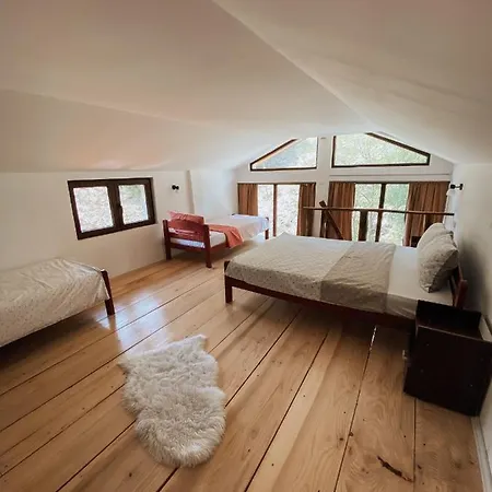 Zicka Plaza Apartment