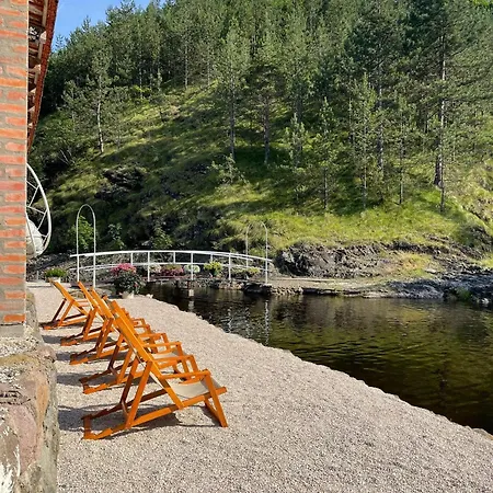 Zicka Plaza * Kraljevo