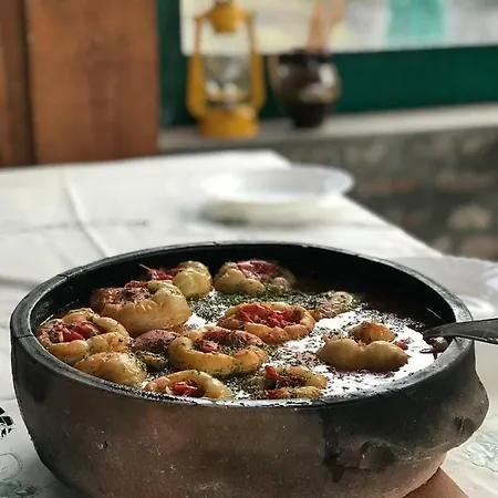 Apartment Zicka Plaza *