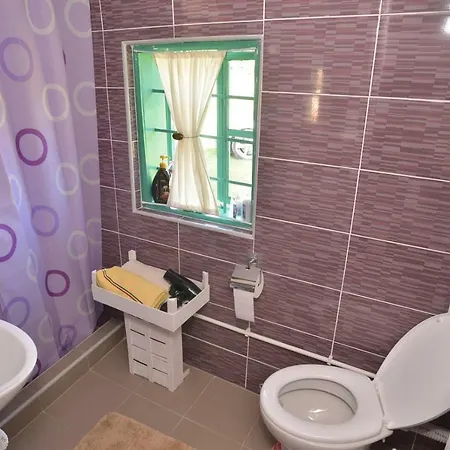 Zicka Plaza * Kraljevo