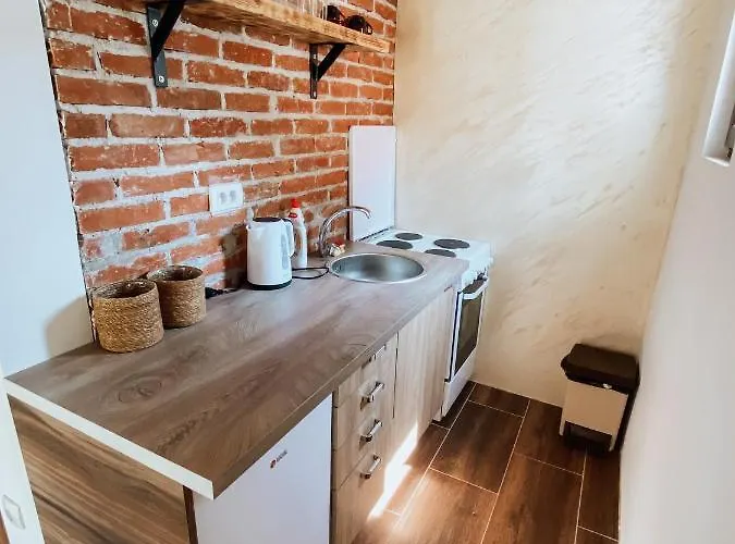 Zicka Plaza Apartament Kraljevo