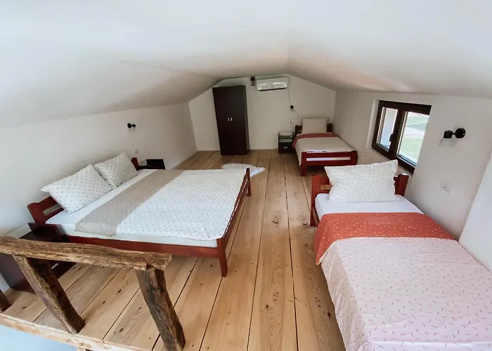 Apartament Zicka Plaza *