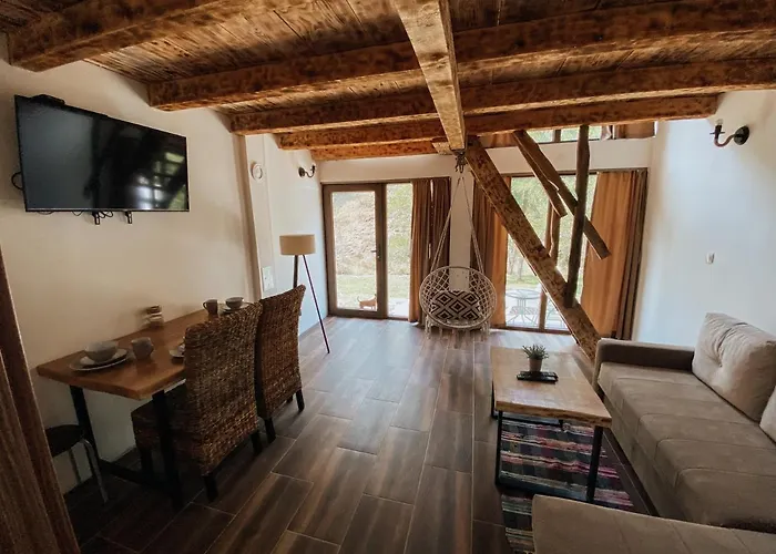 Zicka Plaza Apartament Kraljevo