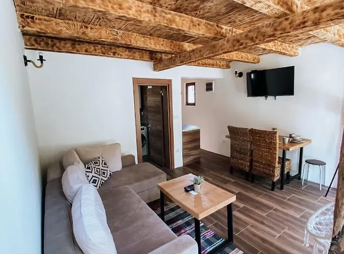 Apartament Zicka Plaza *