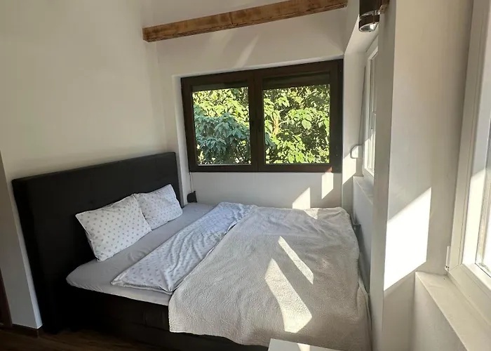 Apartament Zicka Plaza *