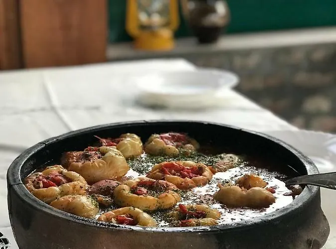 Apartament Zicka Plaza *