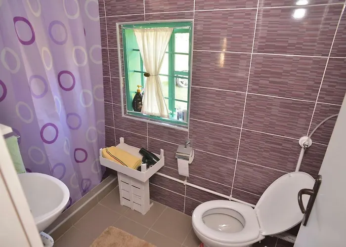 Zicka Plaza * Kraljevo